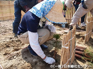 苗木植栽のようす
