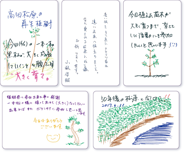 ���b�Z�[�W�J�[�h