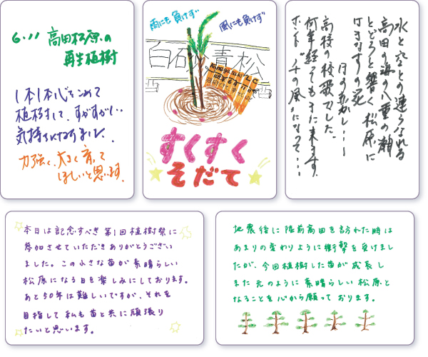 ���b�Z�[�W�J�[�h