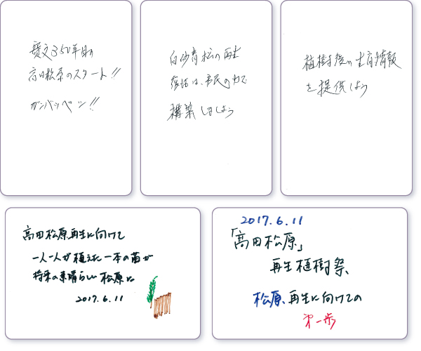 ���b�Z�[�W�J�[�h