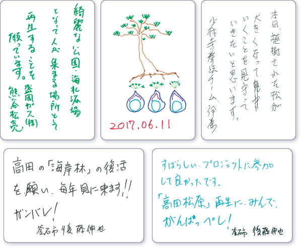 ���b�Z�[�W�J�[�h