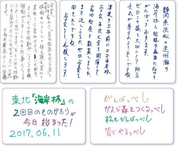 ���b�Z�[�W�J�[�h