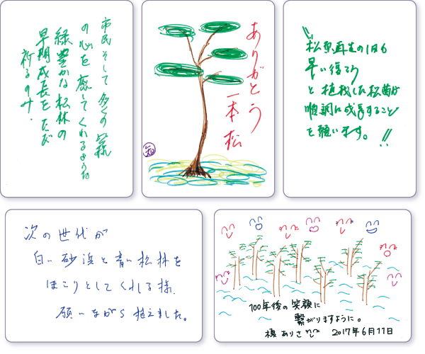 ���b�Z�[�W�J�[�h