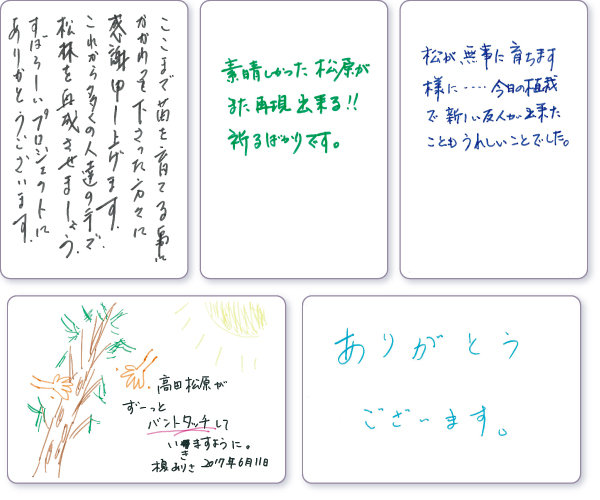 ���b�Z�[�W�J�[�h