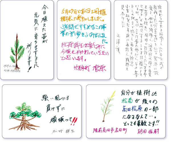 ���b�Z�[�W�J�[�h