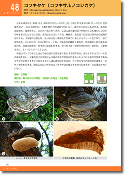 腐朽病害ハンドブック表紙