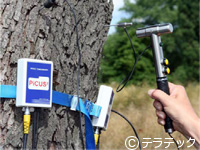 テラテックピカサ