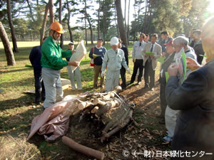 ボーベリア菌不織布製剤による駆除実習