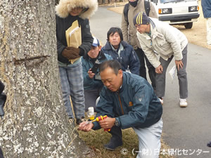 ナラ枯れ予防の樹幹注入実習