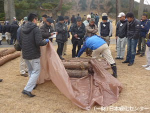 マツノマダラカミキリ駆除の伐倒くん蒸実習