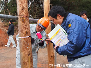 樹幹注入