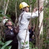 写真3　天然林の毎木調査（フィールド実習III）