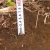 写真2　表土採取地の土壌