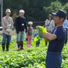 写真6　地元農家による野菜づくりの講習会