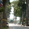 写真1　ランプーン旧街道のYang－naの並木