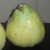 写真3　ル レクチエの果実