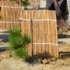 写真2　 万里の松原に親しむ会（山形県酒田市）が仙台市荒浜で行った植樹