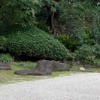 写真5　堺市南宗寺の囲繞植栽
