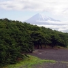 写真1　三保松原と富士山
