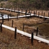写真3　造成された人工湿地