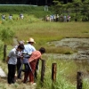 写真4　ボランティアによる湿原の解説