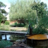 写真1-3　井戸や貯水タンクのある環境を意識したビオトープ