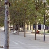 写真3　舗装面の下が街路樹の根の生育場所になっている歩道（スペイン）