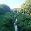 写真7　 緩傾斜の岸部の間を流れる野川。左岸は長く続く緑道となっている（都立野川公園 東京都三鷹市）