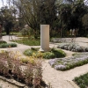 写真4　パドヴァ大学附属植物園 植物展示園の景観