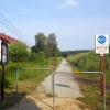 写真10　ポーランド側の緑道　この先40km 、Brodyという町まで続いている