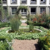 写真2　ベルン大学付属植物園の庭園風景