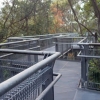 写真5　Forest Walkの橋面は鋼製
