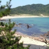 写真1　日本の原風景 白砂青松が海に映える