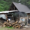 写真2　積まれた被害木と2基の炭窯