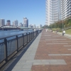 写真1　湾岸堤防を利用した緑道（東京都江東区春海橋公園）