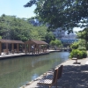 写真12　木場親水公園（東京都江東区）
