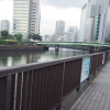 写真16　水面と緑道の高低差が小さい緑道（東京都港区）