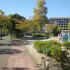 写真3　緑道と一体化した街区公園