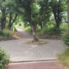 写真7　小舗石で舗装された緑道のノード（結節地点）
