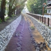 写真2　「仙川リメイク」に基づく自然護岸の親水整備