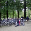 写真4　デ・ホーヘ・フェルウェ国立公園内の貸自転車置き場