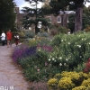 写真5　花で埋め尽くされたキューガーデンの庭園