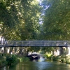 写真6　プラタナスに覆われたブリエンヌ運河の緑道