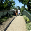 写真11　大円形緑地と植物園を結ぶ瀟洒な緑道橋
