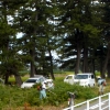 写真2　町内住民による松林の下草刈り