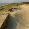 写真6　堆砂垣による侵食された砂草地の補修状況（鶴岡市）