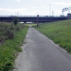 写真4　札内川河川敷に設けられた大平原自転車道