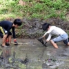 写真2　湿地ビオトープの泥上げ