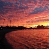 写真13　 マレコンから眺める夕焼け。燃えるような雲が海面に
映える（ラパス市）