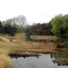 写真1　草地－湿地－池の移行帯　左は観察舎